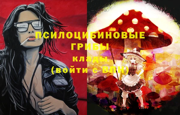 марки nbome Богданович