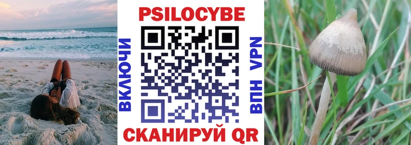 купить наркоту  Пестово  Псилоцибиновые грибы мухоморы 